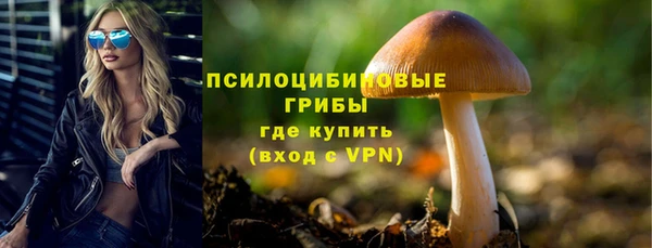 амфетамин Осинники