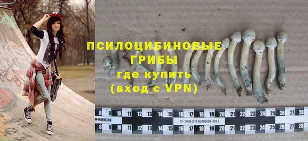 меф Осташков