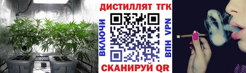 Дистиллят ТГК Wax  Купить  Зима 