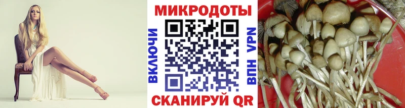 Галлюциногенные грибы мицелий Зима