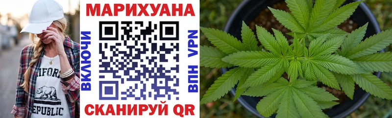 Канабис тримм  Купить где  Зима 